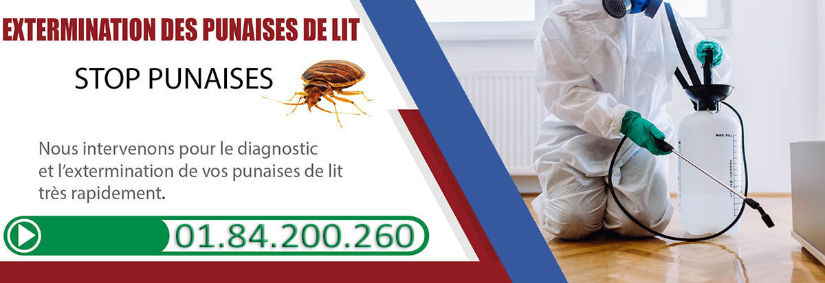 Punaises de Lit Nanterre